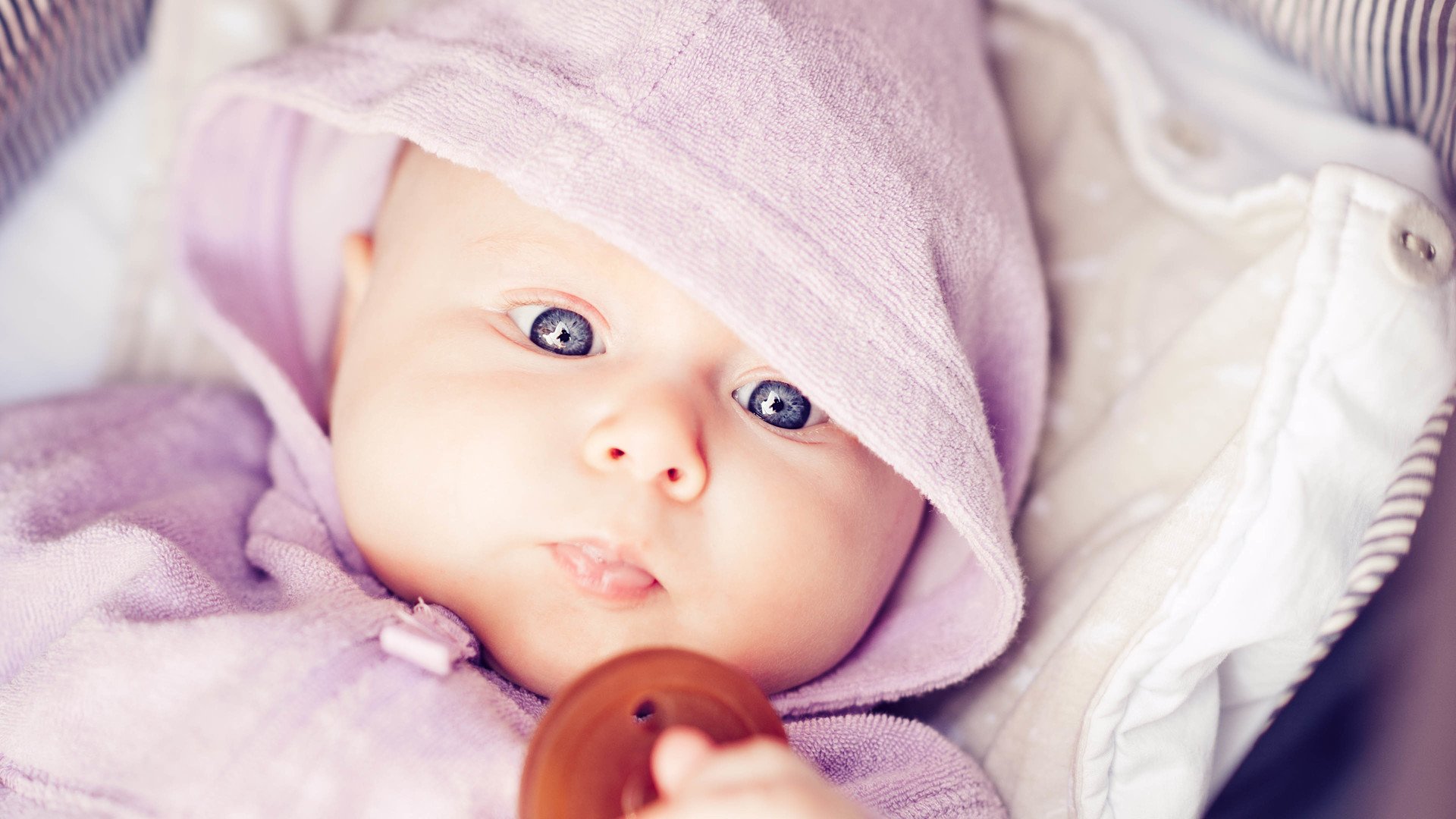 赣州捐卵机构联系方式试管婴儿受精卵着床成功率